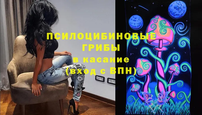 Галлюциногенные грибы MAGIC MUSHROOMS  Каменка 